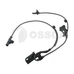 21206 OSSCA
