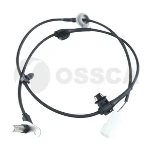 30816 OSSCA