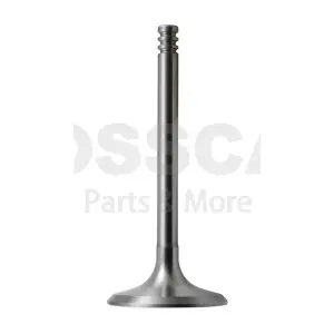 OSSCA 66175