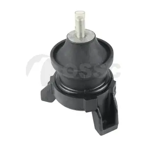 52495 OSSCA