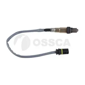 43813 OSSCA