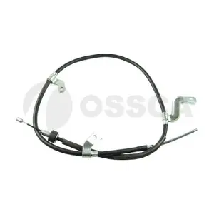 29841 OSSCA