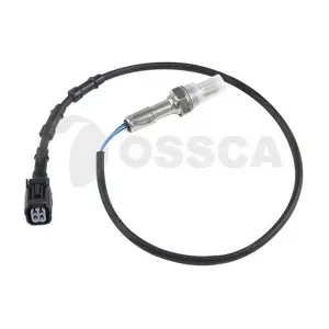 41072 OSSCA