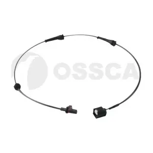 31012 OSSCA