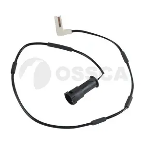 06488 OSSCA