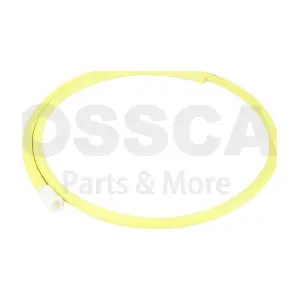 94769 OSSCA