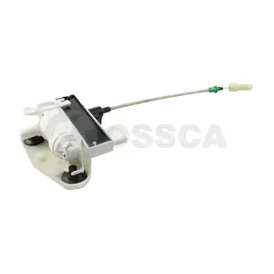 54131 OSSCA