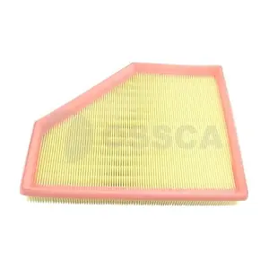 69831 OSSCA