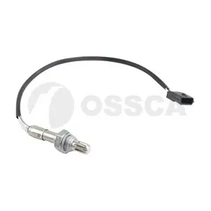 44163 OSSCA