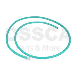 94771 OSSCA