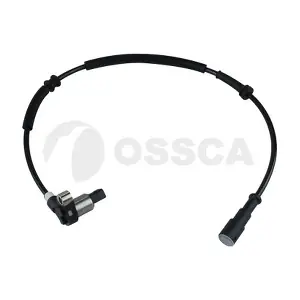 51066 OSSCA