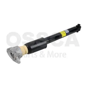 95556 OSSCA