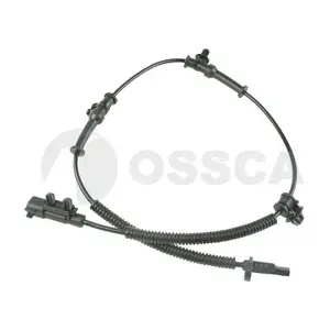 30955 OSSCA