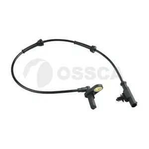 21716 OSSCA