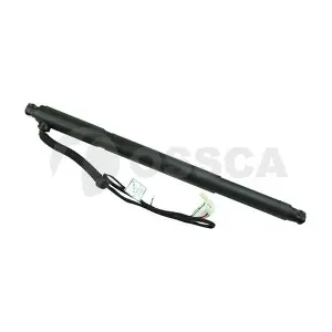 33918 OSSCA