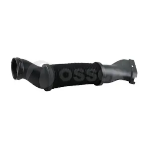 51855 OSSCA