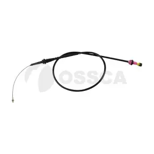 12497 OSSCA