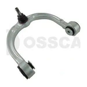 12461 OSSCA