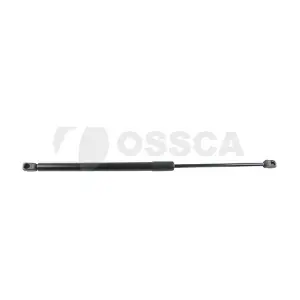 24695 OSSCA