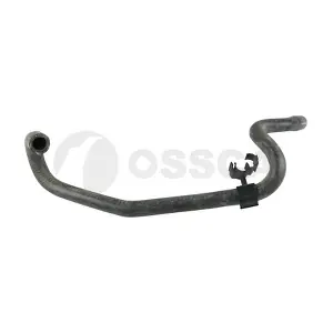 55475 OSSCA