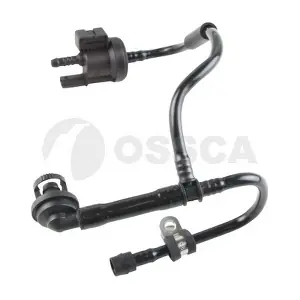 47231 OSSCA