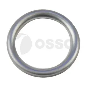 21554 OSSCA