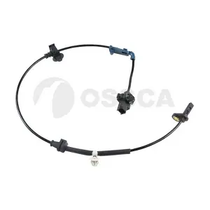 36397 OSSCA