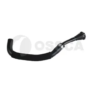 89027 OSSCA
