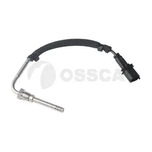 24606 OSSCA