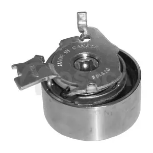 OSSCA 00225