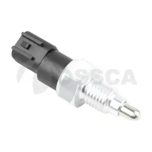 53376 OSSCA