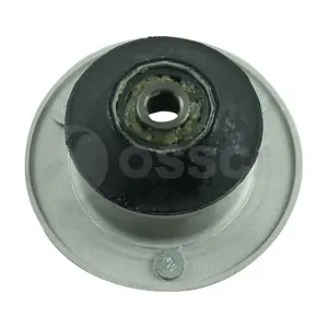 41881 OSSCA