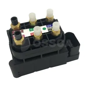48081 OSSCA