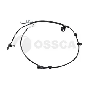 31063 OSSCA