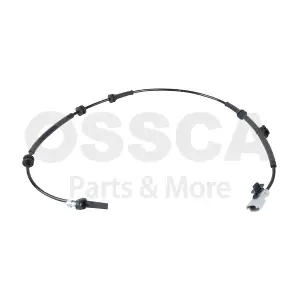 61058 OSSCA