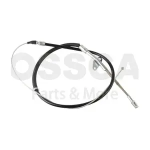 45589 OSSCA