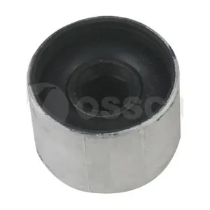 18581 OSSCA
