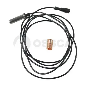 13061 OSSCA
