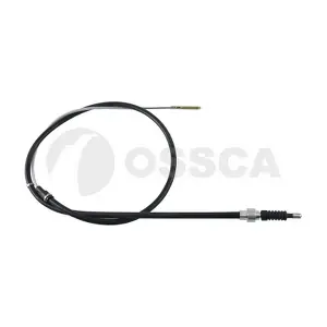 06124 OSSCA