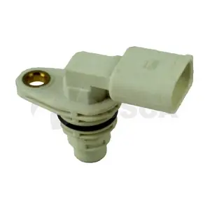 09396 OSSCA