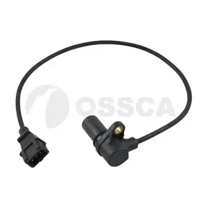13137 OSSCA