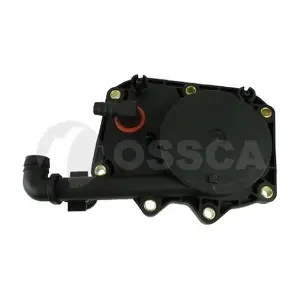 11906 OSSCA