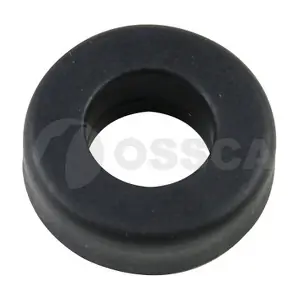 14069 OSSCA
