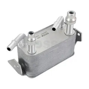 39399 OSSCA