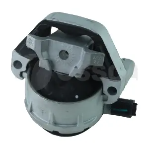 69523 OSSCA