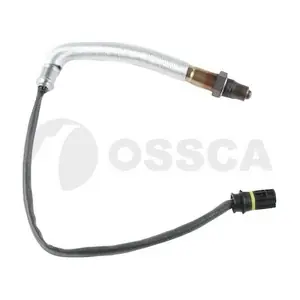 40495 OSSCA
