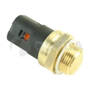 35248 OSSCA