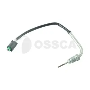 24618 OSSCA