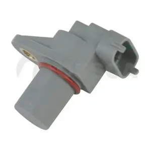 28384 OSSCA