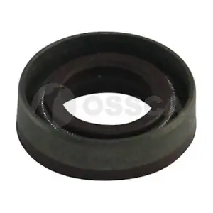 00562 OSSCA